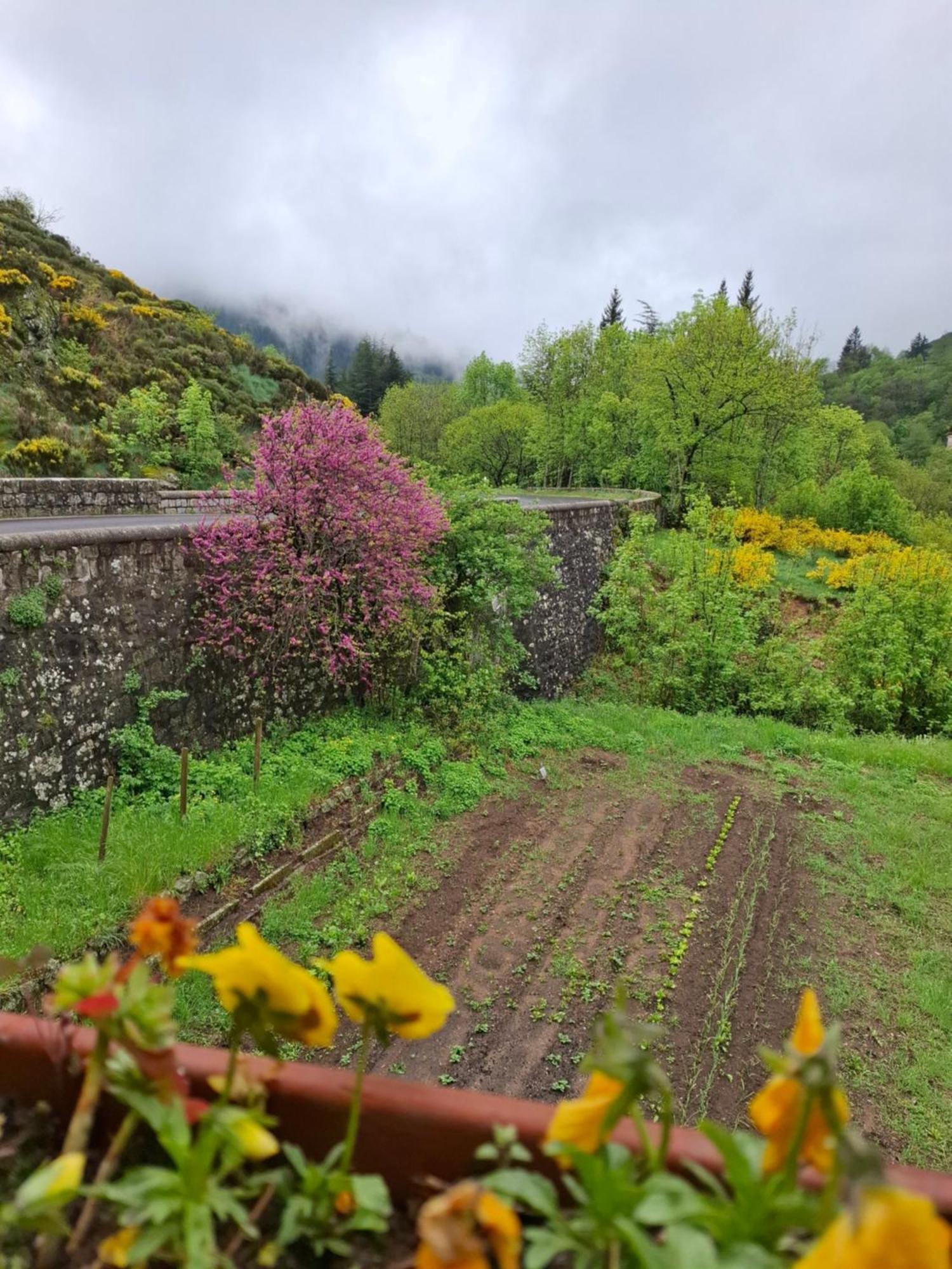 Auberge Arthea Laviolle Exterior photo